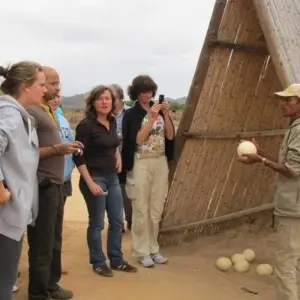 Explore Garden Route & Addo Adventure 5D/4N for 5 days with Bamba Travel and discover unforgettable experiences - Photo 9