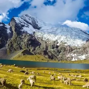 Explore Ausangate Trek 4D/3N for 4 days with Bamba Travel and discover unforgettable experiences - Photo 7