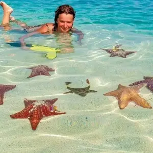 Explore San Blas Yanis Island Budget Experience 4D/3N for 4 days with Bamba Travel and discover unforgettable experiences - Photo 2