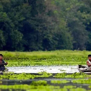 Explore Iquitos Amazon Jungle Adventure 5D/4N for 5 days with Bamba Travel and discover unforgettable experiences - Photo 6