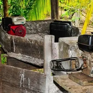 Explore Manaus Amazon Jungle Adventure 5D/4N for 5 days with Bamba Travel and discover unforgettable experiences - Photo 5