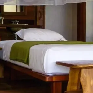 Explore Puerto Maldonado Amazon Superior Lodge 4D/3N (from Puerto Maldonado) for 4 days with Bamba Travel and discover unforgettable experiences - Photo 2