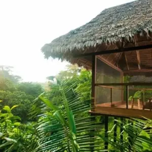 Explore Puerto Maldonado Amazon Superior Lodge 4D/3N (from Puerto Maldonado) for 4 days with Bamba Travel and discover unforgettable experiences - Photo 3