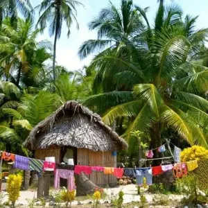 Explore San Blas Yanis Island Budget Experience 3D/2N for 3 days with Bamba Travel and discover unforgettable experiences - Photo 2