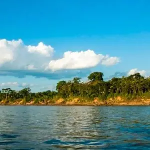 Explore Puerto Maldonado Amazon Superior Lodge 4D/3N (from Puerto Maldonado) for 4 days with Bamba Travel and discover unforgettable experiences - Photo 4