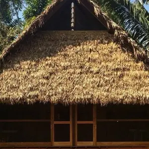 Explore Puerto Maldonado Amazon Field Station 5D/4N (from Puerto Maldonado) for 5 days with Bamba Travel and discover unforgettable experiences - Photo 3