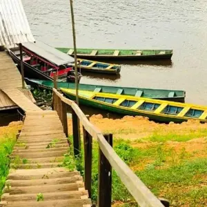 Explore Manaus Amazon Jungle Adventure 5D/4N for 5 days with Bamba Travel and discover unforgettable experiences - Photo 7