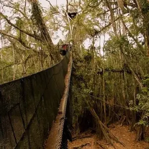 Explore Puerto Maldonado Amazon Eco-Lodge 5D/4N (from Puerto Maldonado) for 5 days with Bamba Travel and discover unforgettable experiences - Photo 7