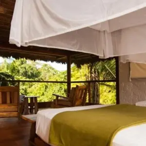 Explore Puerto Maldonado Amazon Superior Lodge 4D/3N (from Puerto Maldonado) for 4 days with Bamba Travel and discover unforgettable experiences - Photo 5