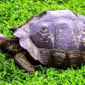 Explore Galapagos Island Hopping Adventure 7D/6N for 7 days with Bamba Travel and discover unforgettable experiences - Photo 9