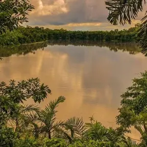 Explore Puerto Maldonado Amazon Field Station 5D/4N (from Puerto Maldonado) for 5 days with Bamba Travel and discover unforgettable experiences - Photo 4
