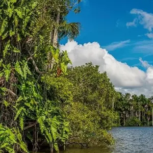 Explore Puerto Maldonado Amazon Eco-Lodge 5D/4N (from Puerto Maldonado) for 5 days with Bamba Travel and discover unforgettable experiences - Photo 8