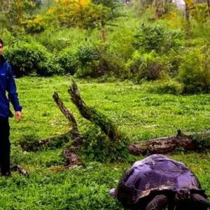 Explore Galapagos Island Hopping Adventure 7D/6N for 7 days with Bamba Travel and discover unforgettable experiences - Photo 10