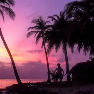 Explore San Blas Yanis Island Budget Experience 4D/3N for 4 days with Bamba Travel and discover unforgettable experiences - Photo 8