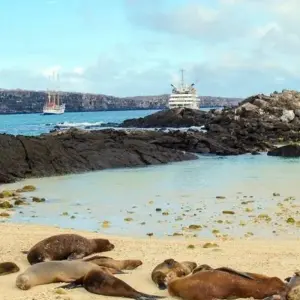 Explore Galapagos Island Hopping Adventure 7D/6N for 7 days with Bamba Travel and discover unforgettable experiences - Photo 11