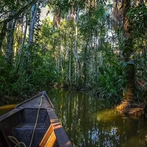 Explore Puerto Maldonado Amazon Eco-Lodge 5D/4N (from Puerto Maldonado) for 5 days with Bamba Travel and discover unforgettable experiences - Photo 10