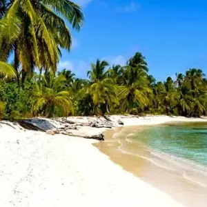 Explore San Blas Yanis Island Budget Experience 4D/3N for 4 days with Bamba Travel and discover unforgettable experiences - Photo 9