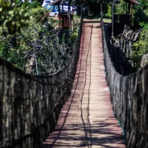 Explore Poa Sana Safari 5D/4N (Masai Mara, Sweetwaters & Lake Nakuru) for 5 days with Bamba Travel and discover unforgettable experiences - Photo 2