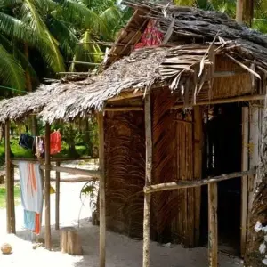 Explore San Blas Yanis Island Budget Experience 3D/2N for 3 days with Bamba Travel and discover unforgettable experiences - Photo 8