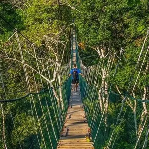 Explore Puerto Maldonado Amazon Field Station 5D/4N (from Puerto Maldonado) for 5 days with Bamba Travel and discover unforgettable experiences - Photo 8