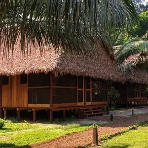 Explore Puerto Maldonado Amazon Field Station 5D/4N (from Puerto Maldonado) for 5 days with Bamba Travel and discover unforgettable experiences - Photo 9