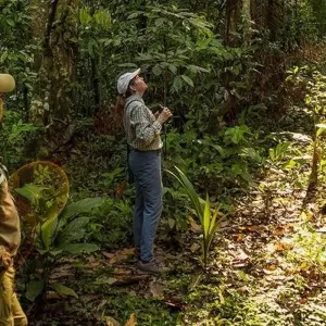 Explore Puerto Maldonado Amazon Field Station 5D/4N (from Puerto Maldonado) for 5 days with Bamba Travel and discover unforgettable experiences - Photo 11