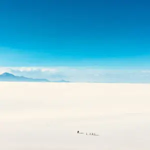 Explore Salta to La Paz Travel Pass for 12 days with Bamba Travel and discover unforgettable experiences - Photo 8