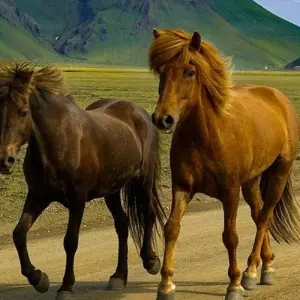 Explore Laugavegur Trek 4D/3N for 4 days with Bamba Travel and discover unforgettable experiences - Photo 8