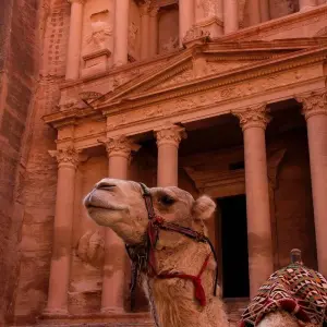 Explore Jordan Experience 4D/3N for 4 days with Bamba Travel and discover unforgettable experiences - Photo 11