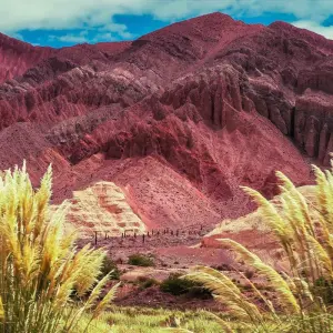 Explore Salta to La Paz Travel Pass for 12 days with Bamba Travel and discover unforgettable experiences - Photo 10