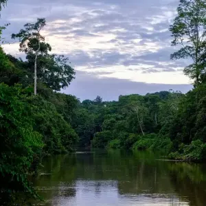 Explore Tena Amazon Eco-Lodge Adventure 4D/3N for 4 days with Bamba Travel and discover unforgettable experiences - Photo 2