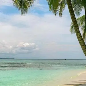 Explore San Blas Authentic Guna Yala Experience 4D/3N for 4 days with Bamba Travel and discover unforgettable experiences - Photo 7
