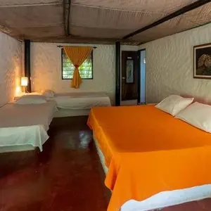 Explore Taironaka Natural Experience 3D/2N for 3 days with Bamba Travel and discover unforgettable experiences - Photo 2