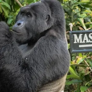 Explore Uganda Gorilla & Lake Safari 5D/4N for 5 days with Bamba Travel and discover unforgettable experiences - Photo 8