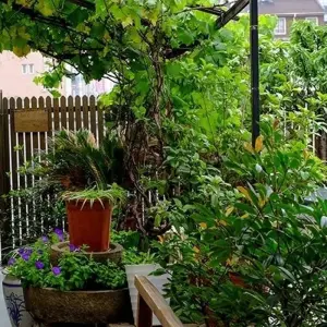 Explore China Group Exploration 28D/27N for 28 days with Bamba Travel and discover unforgettable experiences - Photo 7