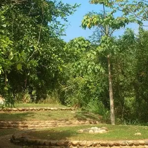 Explore Taironaka Natural Experience 3D/2N for 3 days with Bamba Travel and discover unforgettable experiences - Photo 4