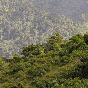 Explore Taironaka Natural Experience 3D/2N for 3 days with Bamba Travel and discover unforgettable experiences - Photo 5