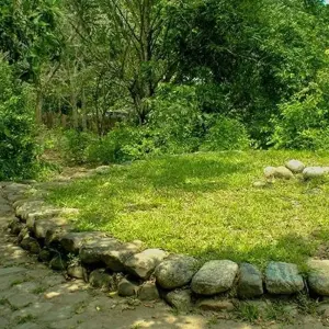 Explore Taironaka Natural Experience 3D/2N for 3 days with Bamba Travel and discover unforgettable experiences - Photo 6