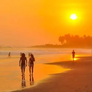 Explore Panama City to Cancun Travel Pass for 43 days with Bamba Travel and discover unforgettable experiences - Photo 11