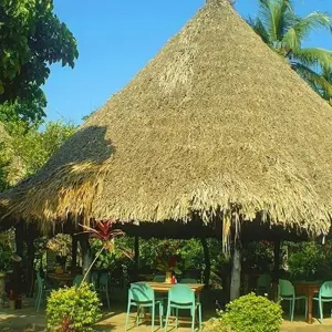 Explore Taironaka Natural Experience 3D/2N for 3 days with Bamba Travel and discover unforgettable experiences - Photo 8