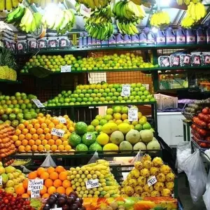 Explore Panama City to Bogota Travel Pass for 10 days with Bamba Travel and discover unforgettable experiences - Photo 4