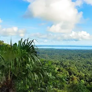 Explore Panama City to Mexico Maya Express Pass for 40 days with Bamba Travel and discover unforgettable experiences - Photo 3