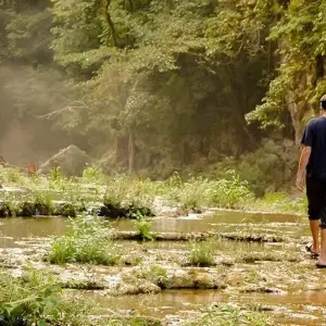 Explore Cancun to Panama City Travel Pass for 48 days with Bamba Travel and discover unforgettable experiences - Photo 4