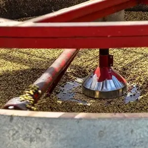 Explore Panama City to Bogota Travel Pass for 10 days with Bamba Travel and discover unforgettable experiences - Photo 5