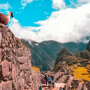 Explore Inca Jungle Backpacker Trek to Machu Picchu 4D/3N for 4 days with Bamba Travel and discover unforgettable experiences - Photo 7