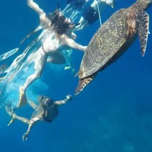 Explore Bali Group Exploration 12D/11N for 12 days with Bamba Travel and discover unforgettable experiences - Photo 7
