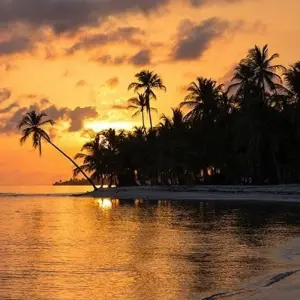 Explore San Jose to Panama City Travel Pass for 7 days with Bamba Travel and discover unforgettable experiences - Photo 8