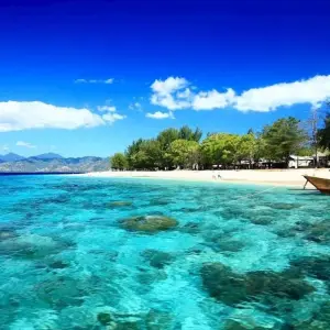 Explore Bali Group Exploration 12D/11N for 12 days with Bamba Travel and discover unforgettable experiences - Photo 9