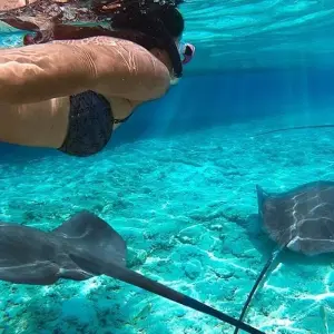 Explore Panama City to Mexico Maya Express Pass for 40 days with Bamba Travel and discover unforgettable experiences - Photo 8