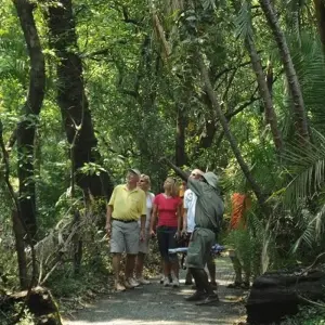 Explore Victoria Falls & Chobe Adventure 4D/3N (from Victoria Falls) for 4 days with Bamba Travel and discover unforgettable experiences - Photo 2